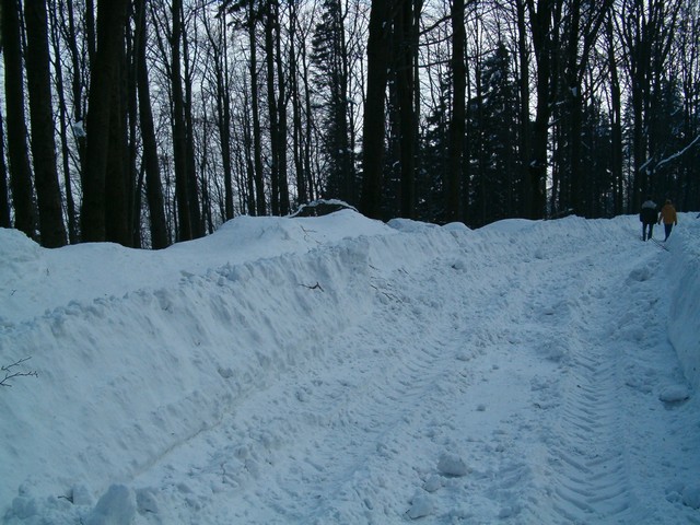 ac_tn_HPIM0528.JPG