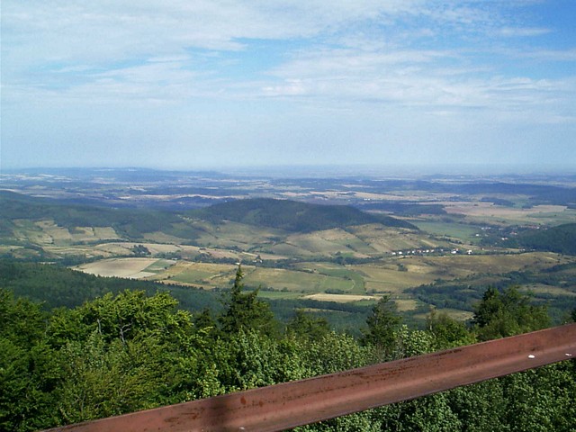 ad_tn_IMAG0019.JPG