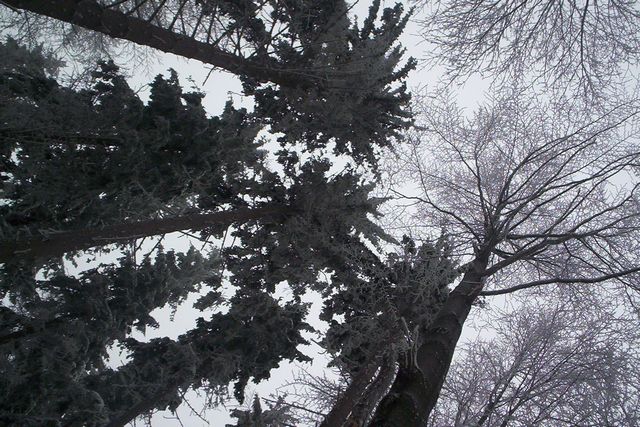 102_2482.jpg