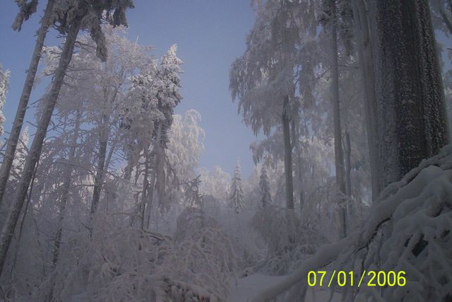 102_2501.jpg