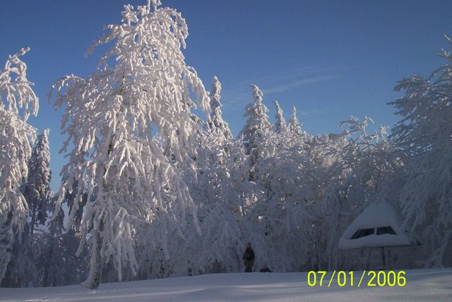 102_2509.jpg