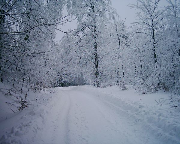 DSCI0009.JPG