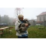 IMG_4257.jpeg