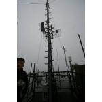 IMG_4294.jpeg