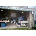 IMG_4376.jpeg