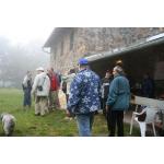 IMG_4396.jpeg