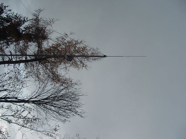 DSCF0002.JPG